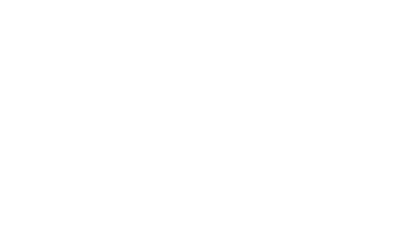 demo-attachment-160-client-1