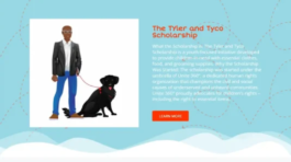 Professional Creative Portfolio Design